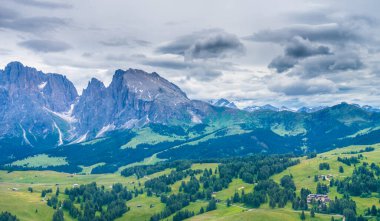 İtalya, Alpe di Siusi, Seiser Alm Sassolungo Langkofel Dolomite ile birlikte, arkasında dağ olan büyük yeşil bir tarla.