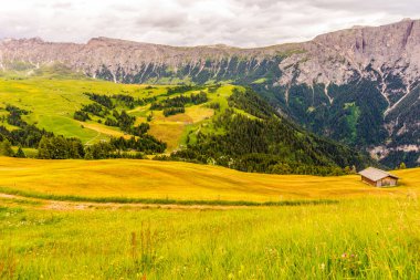 İtalya, Alpe di Siusi, Seiser Alm Sassolungo Langkofel Dolomite ile, tarlada eski bir ahır.