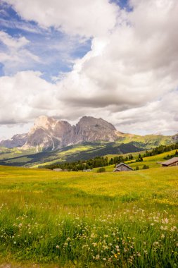 Italy, Alpe di Siusi, Seiser Alm with Sassolungo Langkofel Dolomite, a field with a mountain in the background clipart