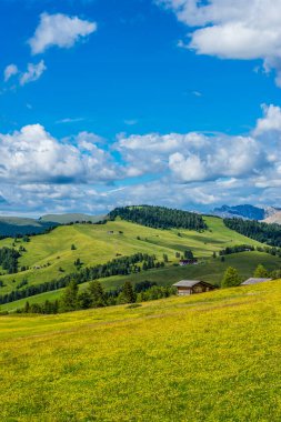 İtalya, Alpe di Siusi, Seiser Alm Sassolungo Langkofel Dolomite ile birlikte, arkasında dağ olan büyük yeşil bir tarla.