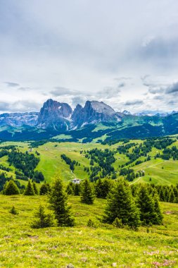 İtalya, Alpe di Siusi, Seiser Alm Sassolungo Langkofel Dolomite ile birlikte, arkasında dağ olan büyük yeşil bir tarla.