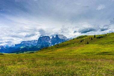 İtalya, Alpe di Siusi, Seiser Alm Sassolungo Langkofel Dolomite ile birlikte, arkasında dağ olan büyük yeşil bir tarla.