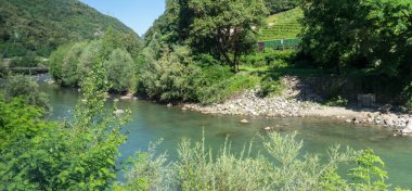 Avrupa, İtalya, Bolzano 'dan Venedik' e tren, ağaçlarla çevrili bir su kütlesi.