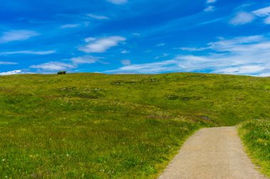 Alpe di Siusi, Seiser Alm Sassolungo Langkofel Dolomite ile birlikte, yemyeşil bir tarlada yayan bir yürüyüş yolu.
