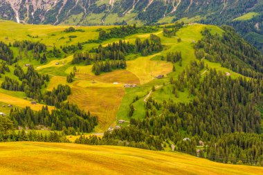 İtalya, Alpe di Siusi, Seiser Alm Sassolungo Langkofel Dolomite ile birlikte, arkasında dağ olan büyük yeşil bir tarla.