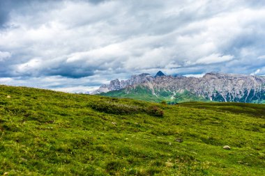 İtalya, Alpe di Siusi, Seiser Alm Sassolungo Langkofel Dolomite ile birlikte, arkasında dağ olan büyük yeşil bir tarla.