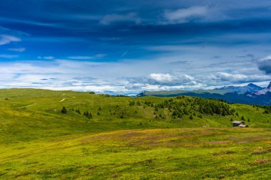 İtalya, Alpe di Siusi, Seiser Alm ve Sassolungo Langkofel Dolomite. Arka planda ağaçlar olan büyük yeşil bir alan.
