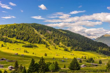 Alpe di Siusi, Seiser Alm ve Sassolungo Langkofel Dolomite, vadi kanyonundaki yemyeşil bir arazinin yakınlarındaydılar.