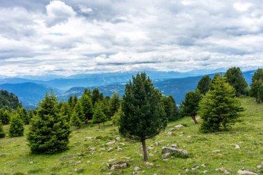 Alpe di Siusi, Seiser Sadm ve Sassolungo Langkofel Dolomite, vadi kanyonundaki yemyeşil bir arazinin yakın çekimi.
