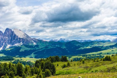 İtalya, Alpe di Siusi, Seiser Alm ve Sassolungo Langkofel Dolomite arka planda büyük bir dağın manzarası.