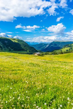 İtalya, Alpe di Siusi, Seiser Alm Sassolungo Langkofel Dolomite ile birlikte, arkasında dağ olan büyük yeşil bir tarla.