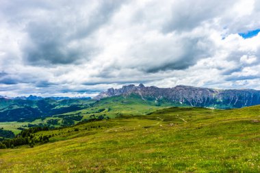 İtalya, Alpe di Siusi, Seiser Alm Sassolungo Langkofel Dolomite ile birlikte, arkasında dağ olan büyük yeşil bir tarla.