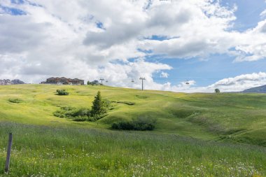 İtalya, Alpe di Siusi, Seiser Alm Sassolungo Langkofel Dolomite ile birlikte, yemyeşil bir tarlaya yakın çekim.