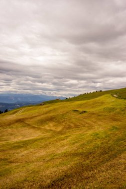 İtalya, Alpe di Siusi, Seiser Alm Sassolungo Langkofel Dolomite ile, çimenli bir tepenin yakınında.