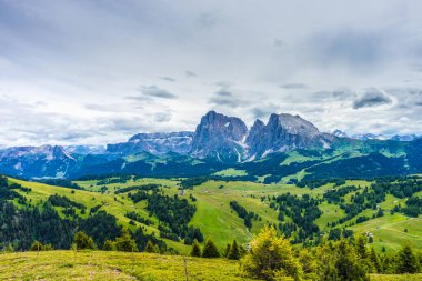 İtalya, Alpe di Siusi, Seiser Alm Sassolungo Langkofel Dolomite ile birlikte, arkasında dağ olan büyük yeşil bir tarla.