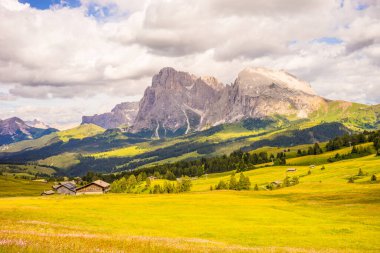 İtalya, Alpe di Siusi, Seiser Alm ve Sassolungo Langkofel Dolomite arka planda dağ olan bir tarla.