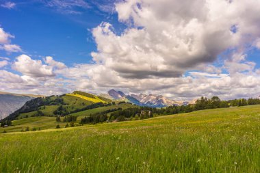 İtalya, Alpe di Siusi, Seiser Alm ve Sassolungo Langkofel Dolomite, gökyüzünde bulutlar olan büyük yeşil bir alan.