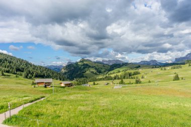 İtalya, Alpe di Siusi, Seiser Alm Sassolungo Langkofel Dolomite ile birlikte, arkasında dağ olan büyük yeşil bir tarla.