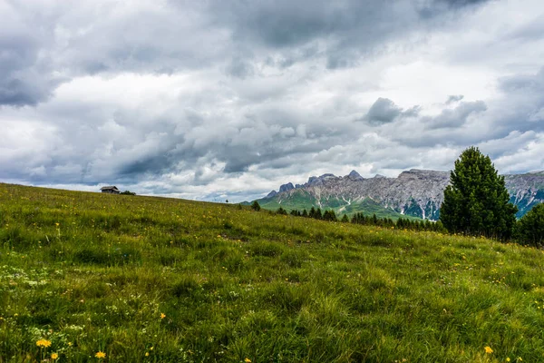 Italia Alpe Siusi Seiser Alm Con Sassolungo Langkofel Dolomite Gran —  Fotos de Stock