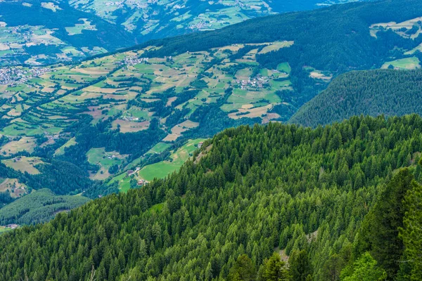 Alpe Siusi Seiser Alm Com Sassolungo Langkofel Dolomite Uma Floresta — Fotografia de Stock