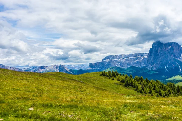 Italy Alpe Siusi Seiser Alm Sassolungo Langkofel Dolomite Велике Зелене — стокове фото