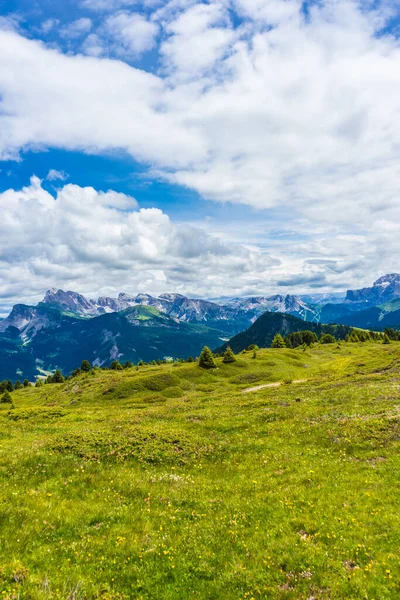 Italia Alpe Siusi Seiser Alm Con Sassolungo Langkofel Dolomite Gran —  Fotos de Stock