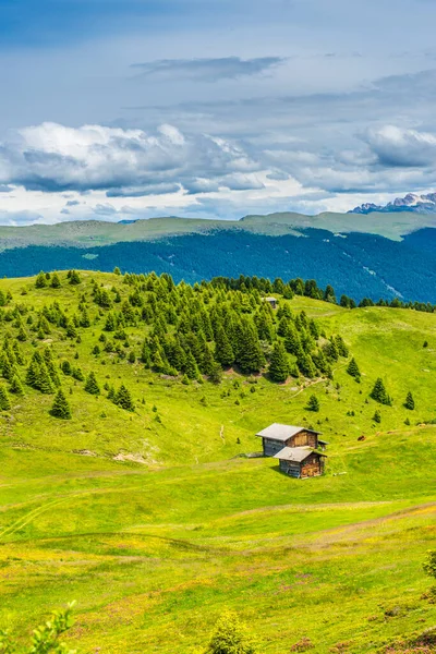 Alpe Siusi Seiser Alm Sassolungo Langkofel Dolomite Green Field Seiser — 스톡 사진