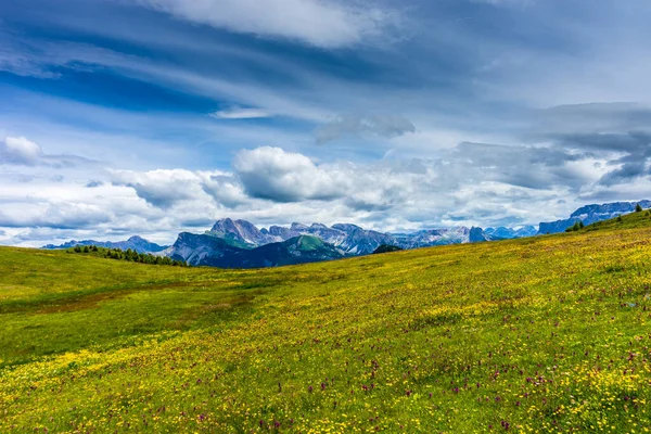 Италия Alpe Siusi Альм Озолио Лангко Дамите Большое Зеленое Поле — стоковое фото