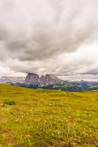 Italia Alpe Siusi Seiser Alm Con Sassolungo Langkofel Dolomite Campo — Foto de Stock