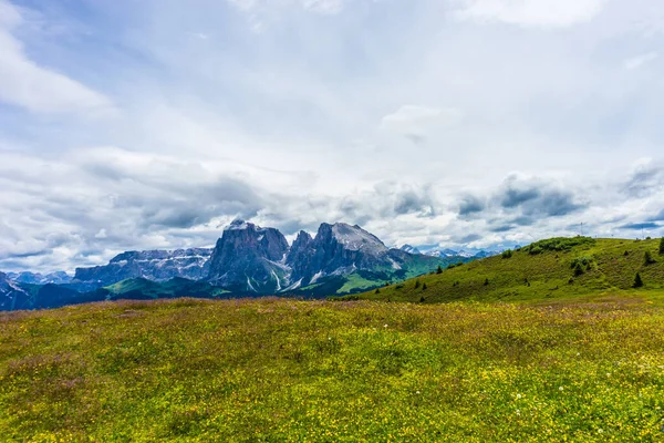意大利 Siusi阿尔卑斯 Sassolungo Langkofel Dolomite的Seiser Alm 一片绿地 背景是一座山 — 图库照片