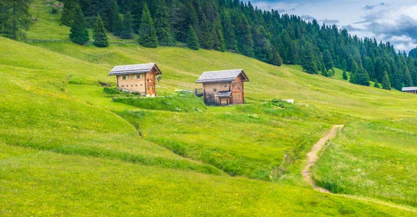 Italia Alpe Siusi Seiser Alm Con Sassolungo Langkofel Dolomite Primer — Foto de Stock