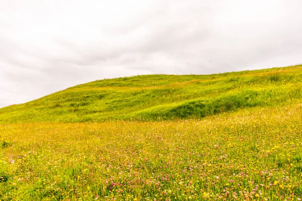 Alpe Siusi Seiser Alm Sasolungo Langkofel Dolomite 渓谷の緑豊かなフィールドの終わり — ストック写真