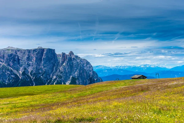 Italy Alpe Siusi Seiser Alm Sassolungo Langkofel Dolomite Велике Зелене — стокове фото