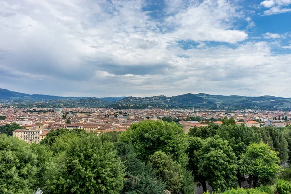 Europa Italia Florencia Árbol Con Una Montaña Fondo — Foto de Stock