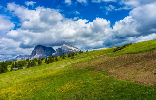 Włochy Alpe Siusi Seiser Alm Sassolungo Langkofel Dolomite Grupa Chmur — Zdjęcie stockowe