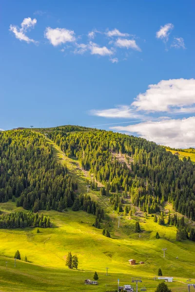 Alpe di Siusi, Seiser Alm ve Sassolungo Langkofel Dolomite, vadi kanyonundaki yemyeşil bir arazinin yakınlarındaydılar.