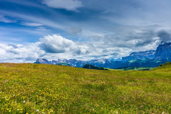 Italy Alpe Siusi Seiser Alm Sassolungo Langkofel Dolomite Large Green — Stock Photo, Image