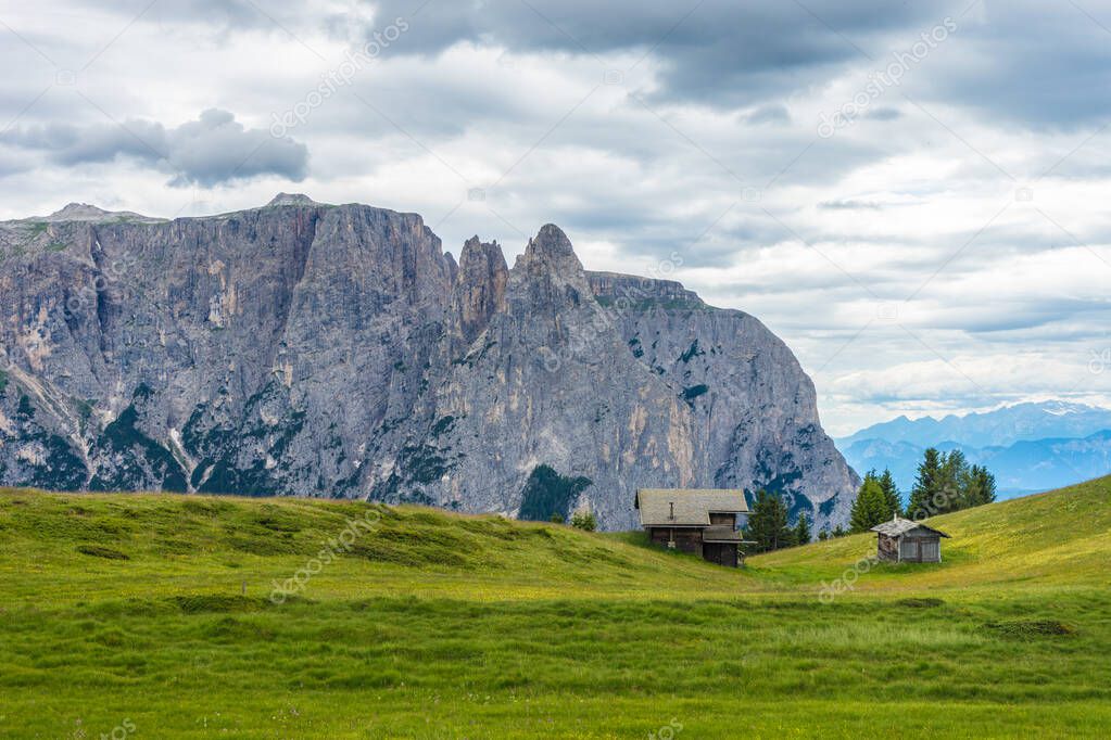 Italy, Alpe di Siusi, Seiser Alm with Sassolungo Langkofel Dolomite, a large green field with a mountain in the background