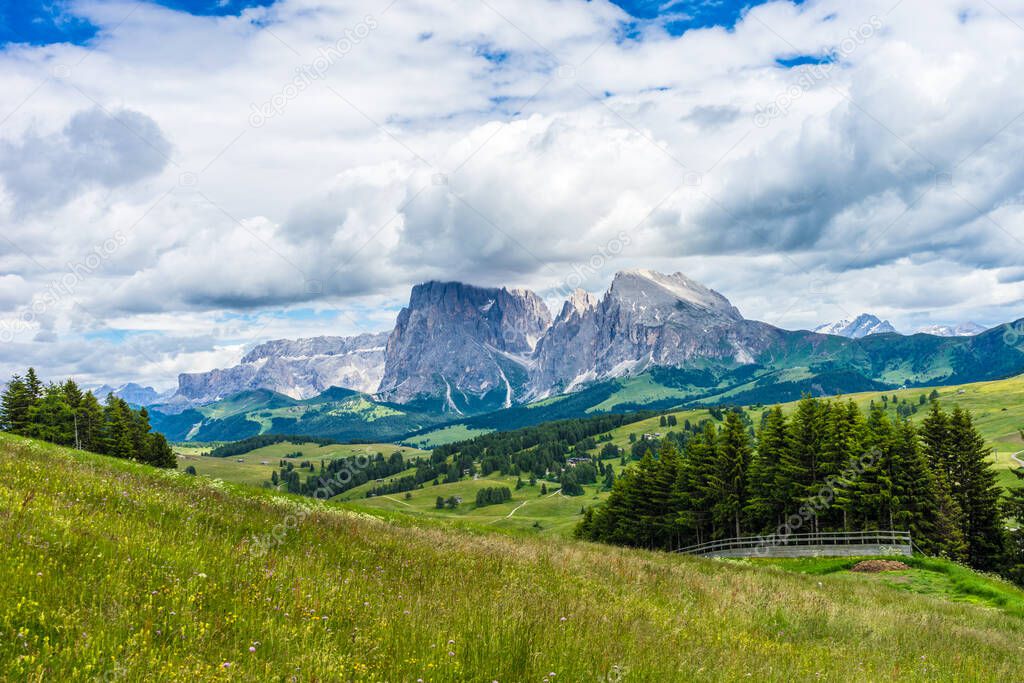 Italy, Alpe di Siusi, Seiser Alm with Sassolungo Langkofel Dolomite, a large green field with a mountain in the background
