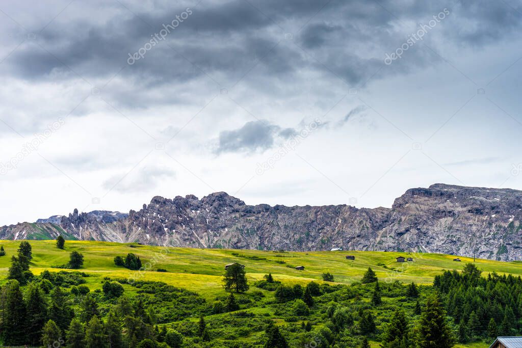 Alpe di Siusi, Seiser Alm with Sassolungo Langkofel Dolomite, lush green field