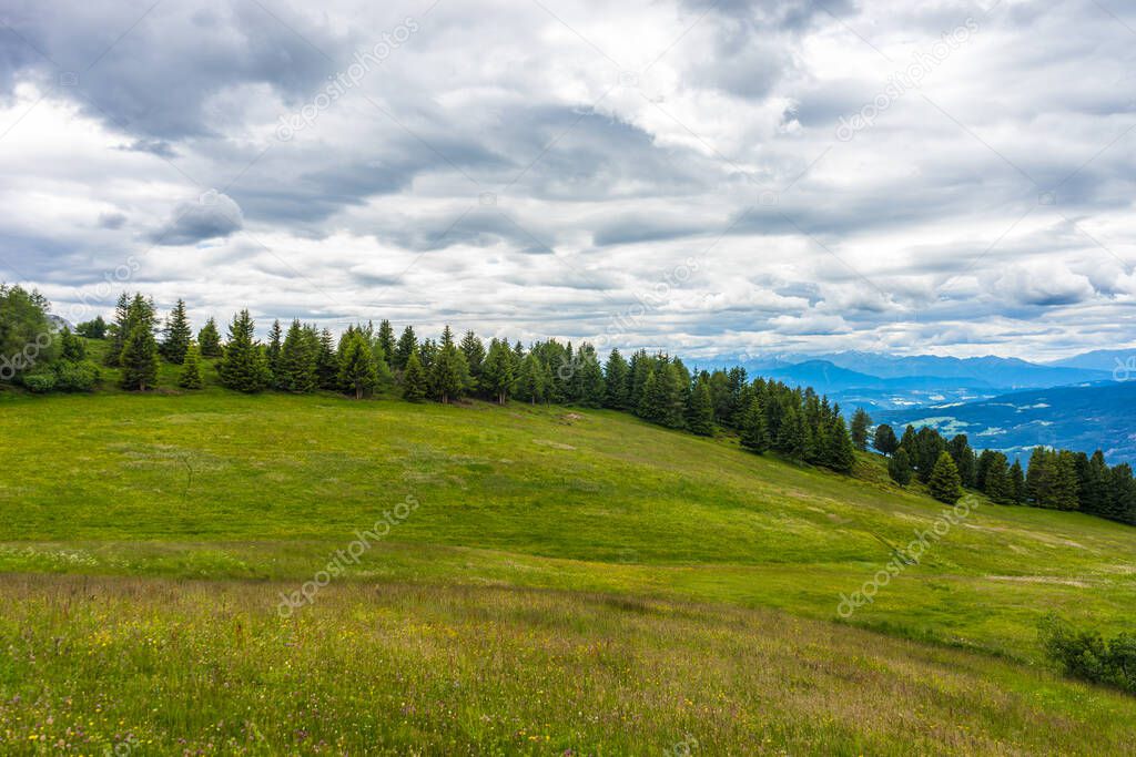 Italy, Alpe di Siusi, Seiser Alm with Sassolungo Langkofel Dolomite, a close up of a lush green field