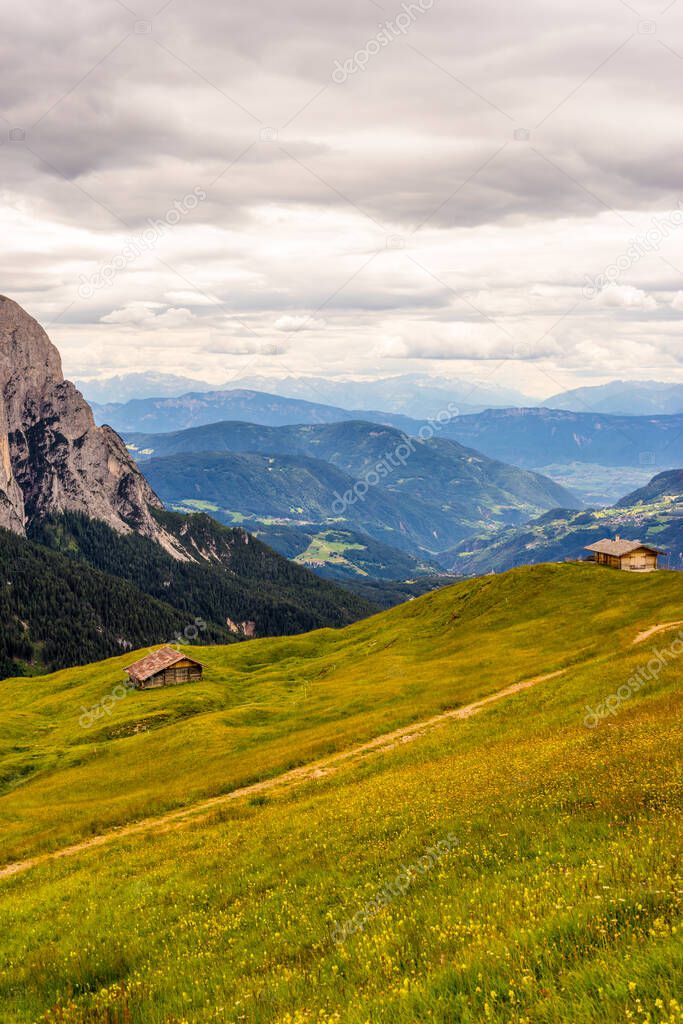 Italy, Alpe di Siusi, Seiser Alm with Sassolungo Langkofel Dolomite, a large green field with a mountain in the background