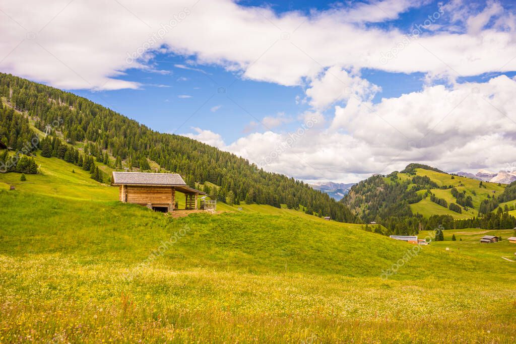 Italy, Alpe di Siusi, Seiser Alm with Sassolungo Langkofel Dolomite, a large green field with a mountain in the background