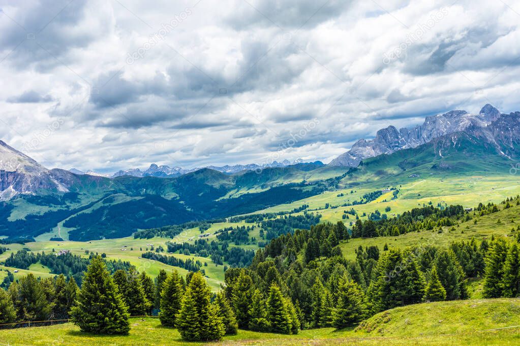 Italy, Alpe di Siusi, Seiser Alm with Sassolungo Langkofel Dolomite, a large green field with a mountain in the background