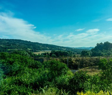 Avrupa, İtalya, Roma 'dan Floransa trenine. Arkasında dağ olan bir ağaç.