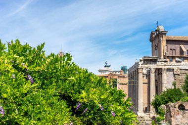 Avrupa, İtalya, Roma, Roma Forumu. Saat kulesi olan büyük bir taş bina.