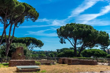 Roma 'daki Palatine Hill' deki Roma Forumundaki antik kalıntılar.