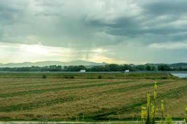 Avrupa, İtalya, Roma 'dan Floransa trenine. Gökyüzünde bulutlar olan büyük yeşil bir alan.