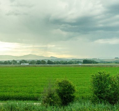 Avrupa, İtalya, Roma 'dan Floransa trenine. Gökyüzünde bulutlar olan büyük yeşil bir alan.