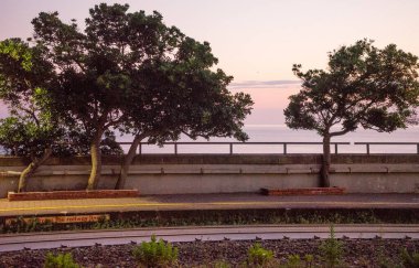 İtalyan banliyöleri Pisa Riomaggiore treni, Avrupa, RAILROAD TRACKS TÜRKÇE TÜRÜNLER